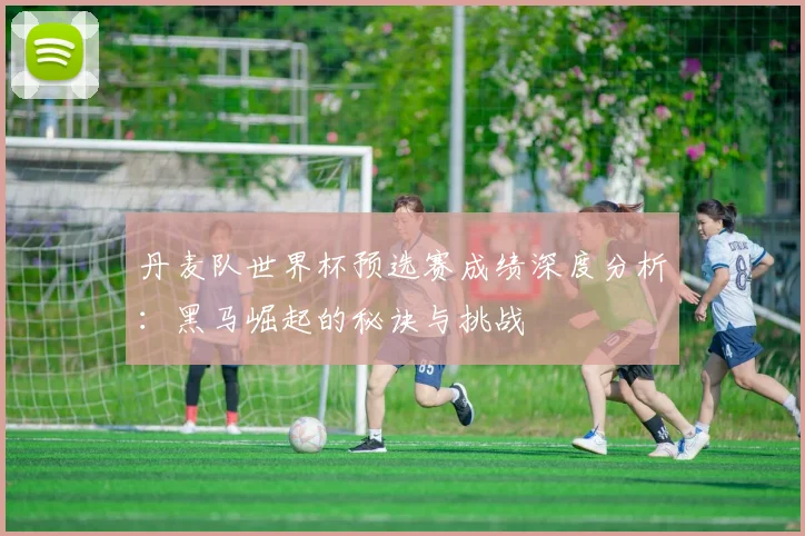 丹麦队世界杯预选赛成绩深度分析：黑马崛起的秘诀与挑战