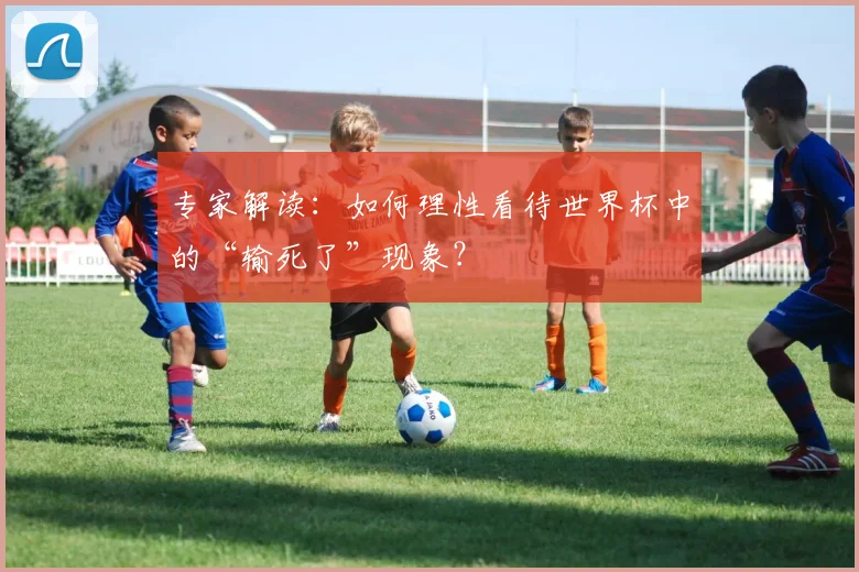 专家解读:如何理性看待世界杯中的“输死了”现象?