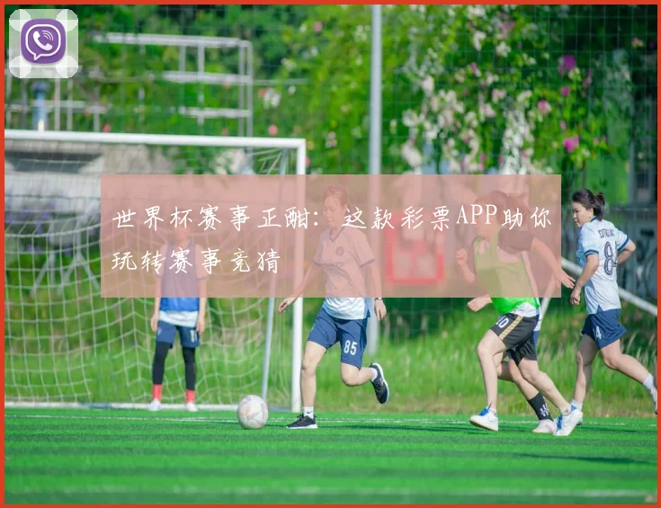 世界杯赛事正酣:这款彩票APP助你玩转赛事竞猜