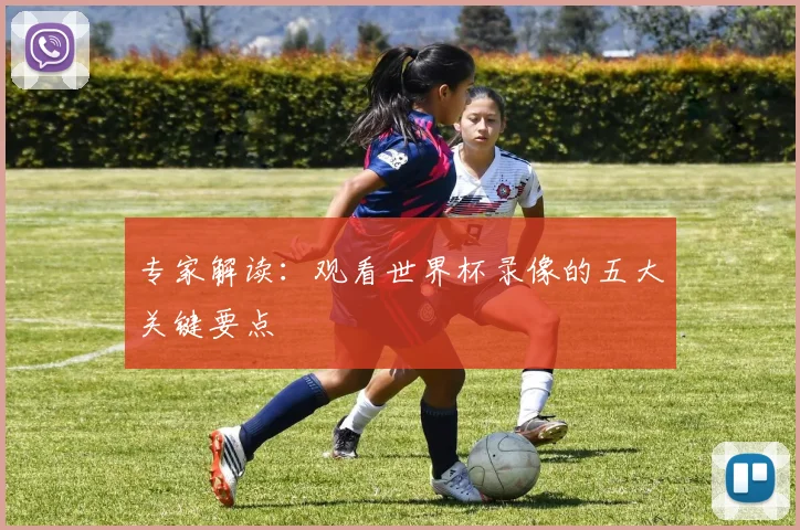 专家解读:观看世界杯录像的五大关键要点